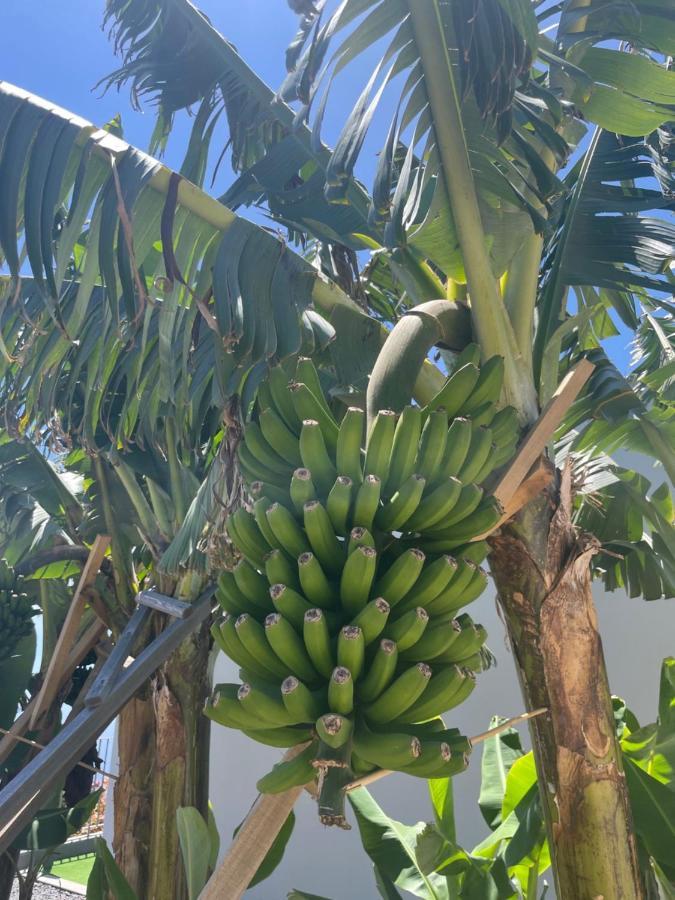 King'S Paradise Estreito Da Calheta Luaran gambar