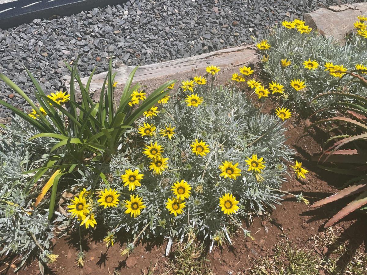 King'S Paradise Estreito Da Calheta Luaran gambar
